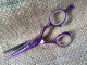 Jaguar Gold Line "Diamond E Donna" 5.5" Champion class scissor.